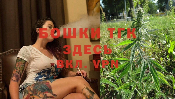 тгк Горняк